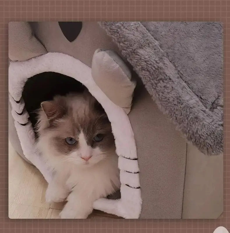 Casinha para Gatos e Cachorros