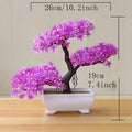 Bonsai Decorativo
