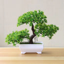 Bonsai Decorativo