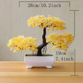 Bonsai Decorativo