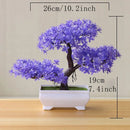 Bonsai Decorativo