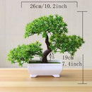 Bonsai Decorativo