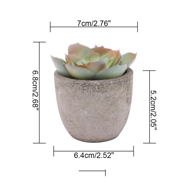 Mini Bonsai Zen