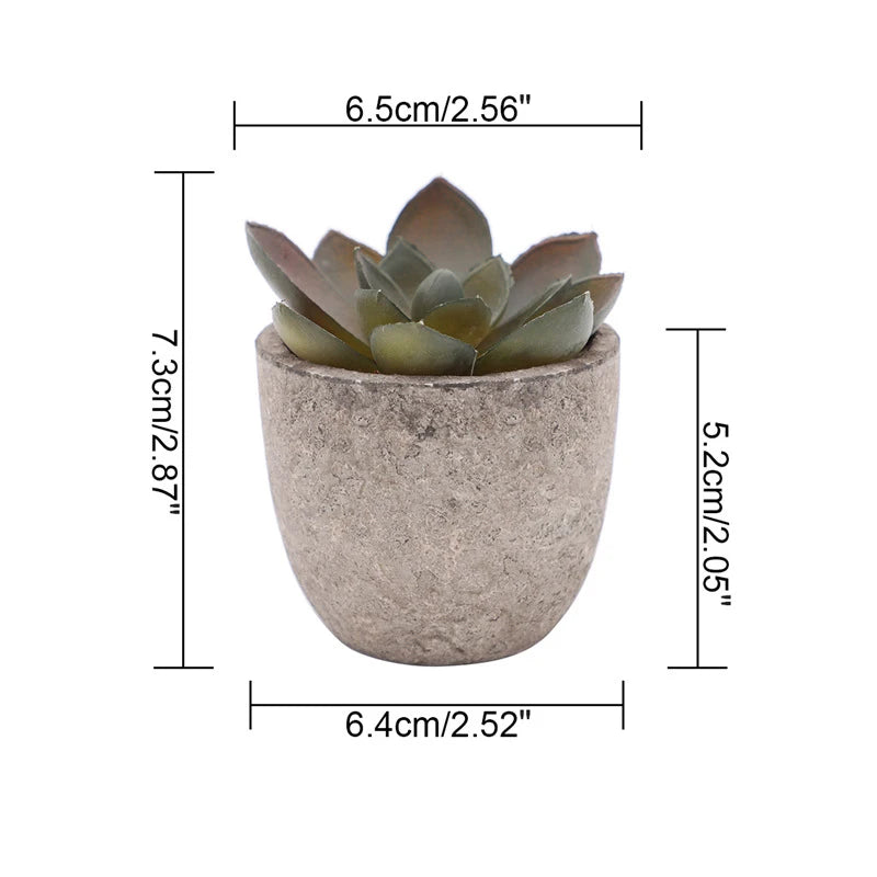 Mini Bonsai Zen