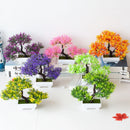 Bonsai Decorativo