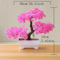 Bonsai Decorativo