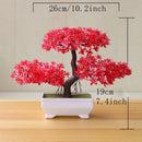 Bonsai Decorativo