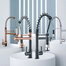 Torneira de cozinha Gourmet